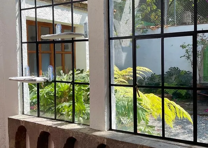 Quinta Leal Homestay Mexico City