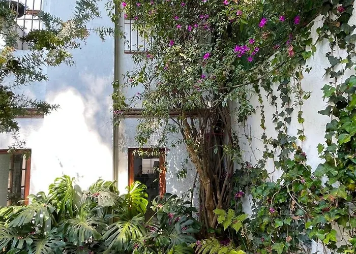Homestay Quinta Leal *